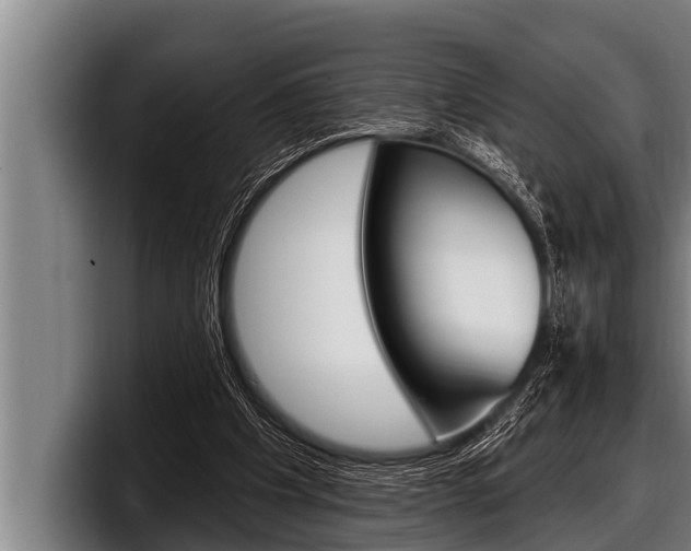 X0000098130201200804171106