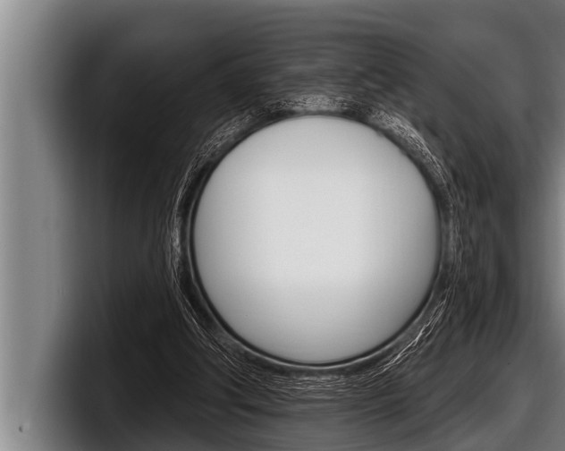 X0000098130202200804171106