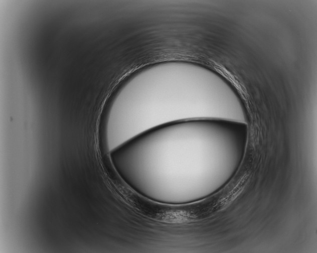 X0000098130203200804171106