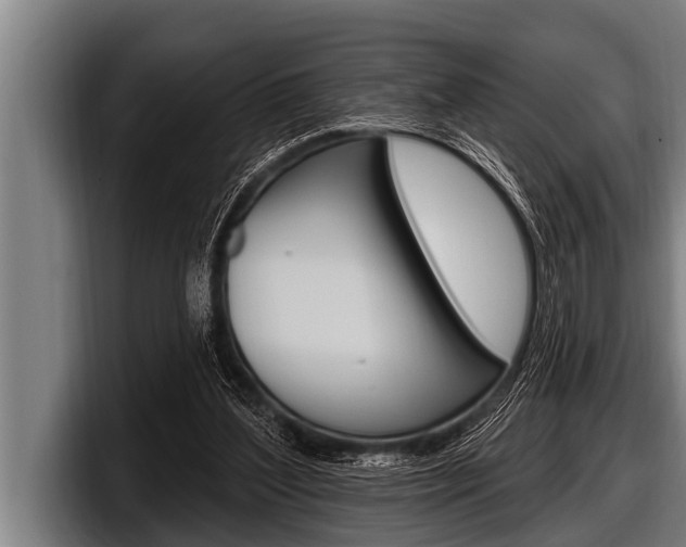 X0000098130204200804171106