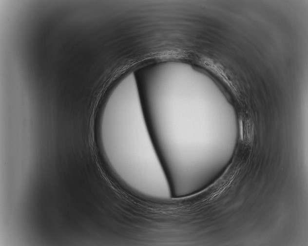 X0000098130205200804171106