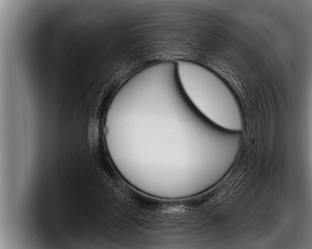 X0000098130206200804171106