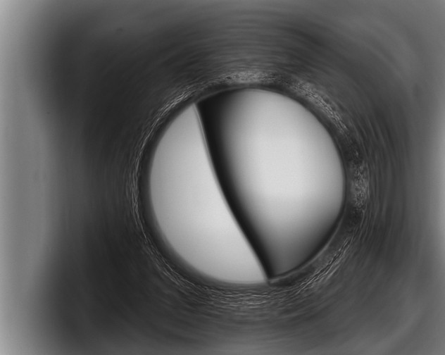 X0000098130207200804171106