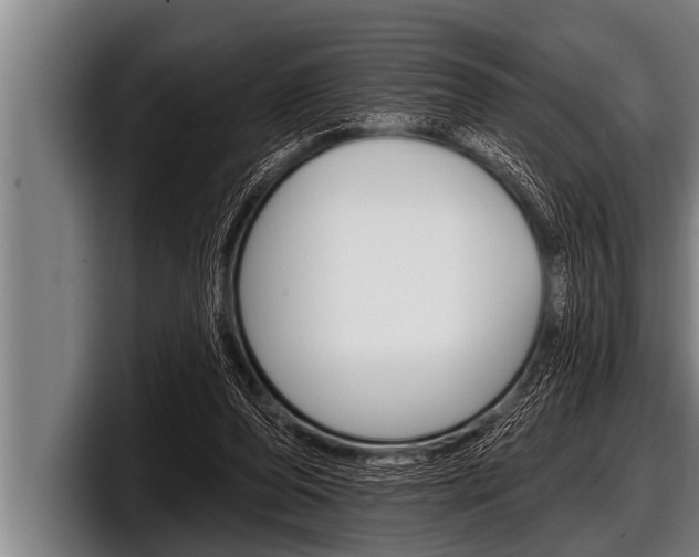 X0000098130208200804171106