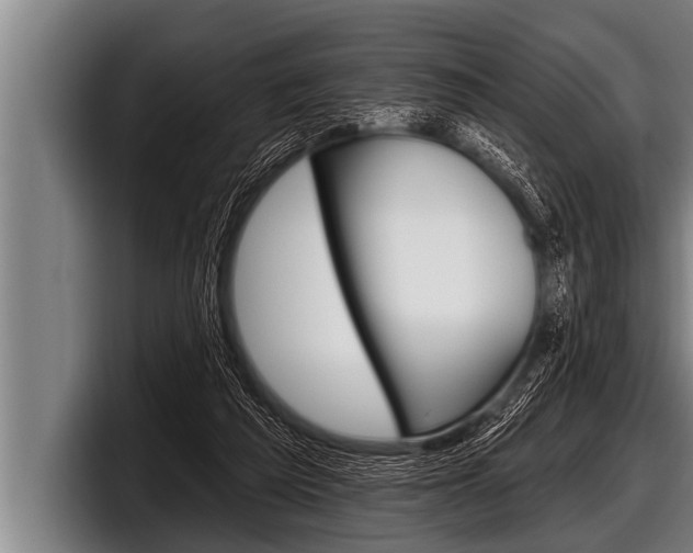 X0000098130209200804171106