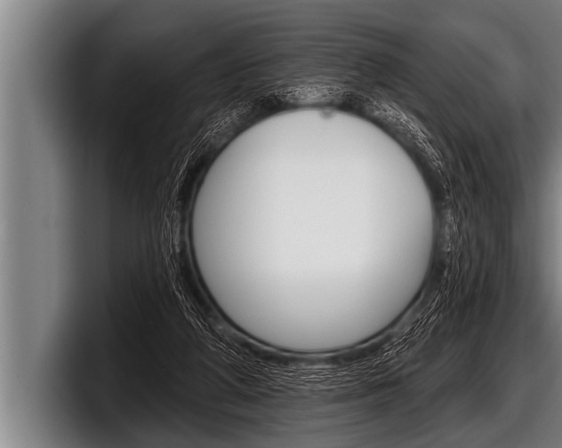 X0000098130210200804171106
