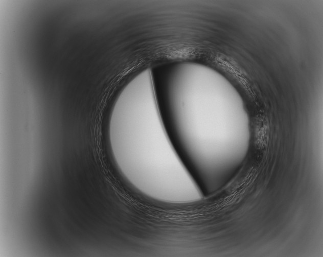 X0000098130211200804171106