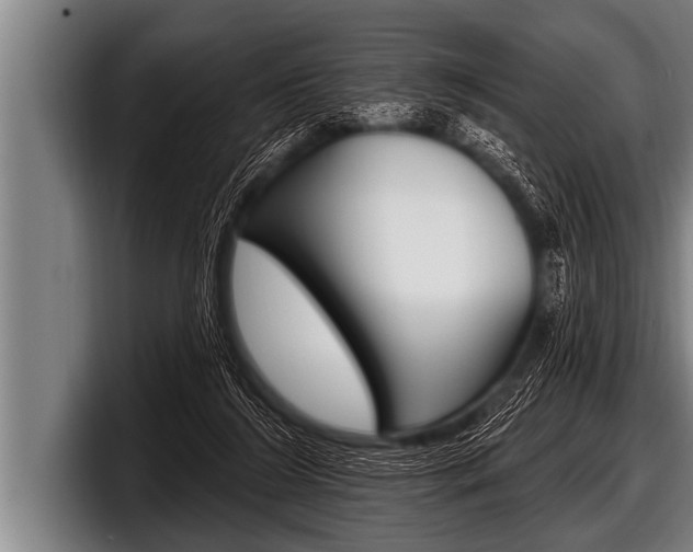 X0000098130212200804171106