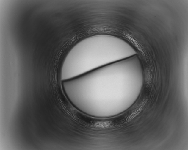 X0000098130213200804171106