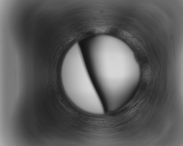 X0000098130215200804171106