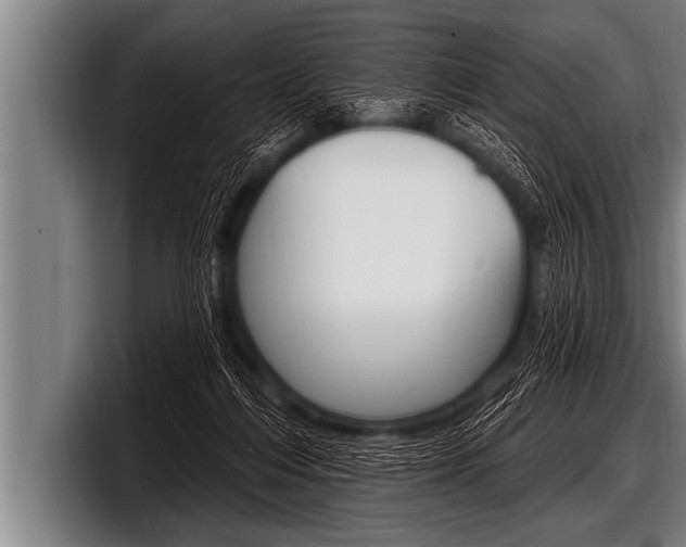 X0000098130216200804171106