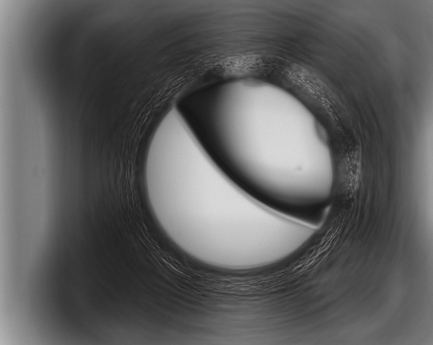 X0000098130217200804171106