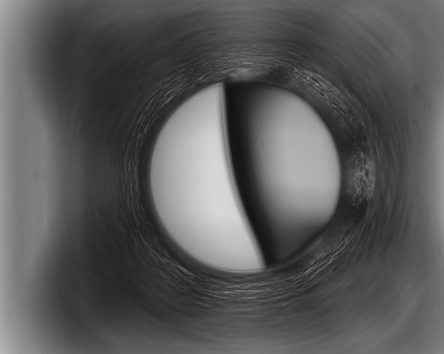 X0000098130219200804171106