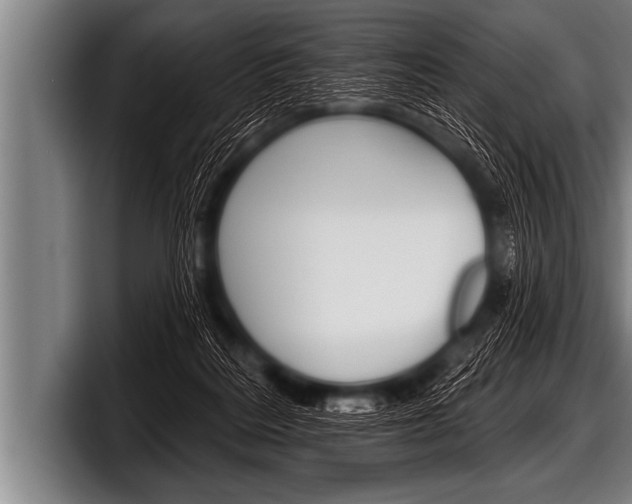 X0000098130220200804171106
