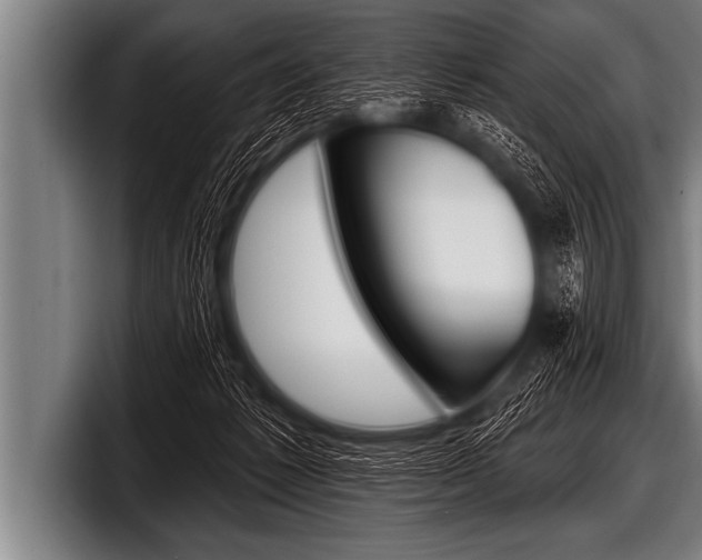 X0000098130221200804171106