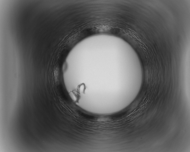 X0000098130222200804171106