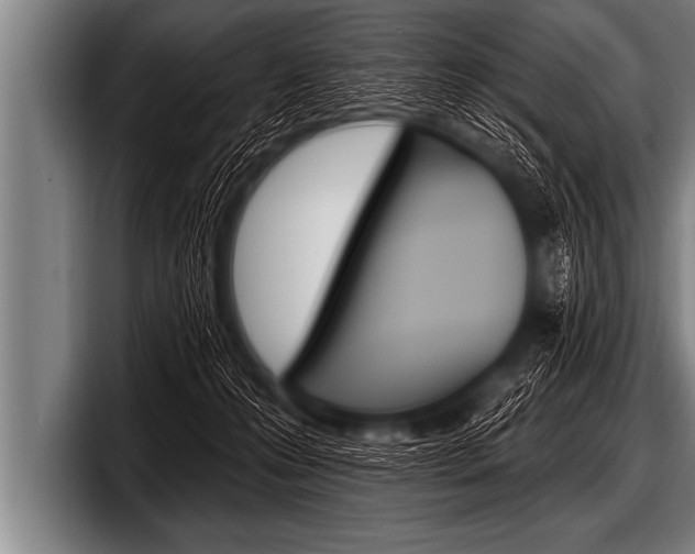 X0000098130223200804171106