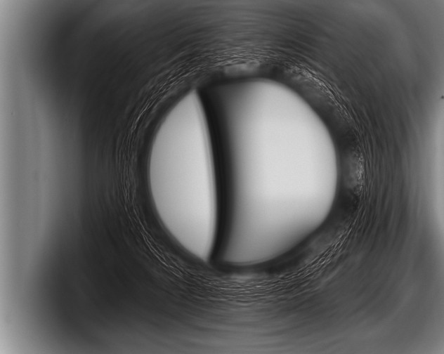 X0000098130224200804171106