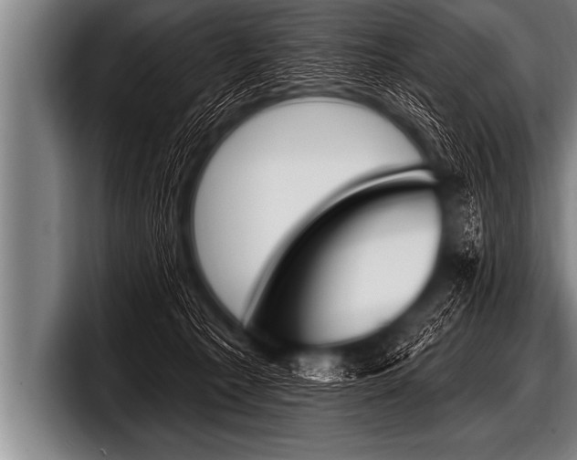 X0000098130225200804171106