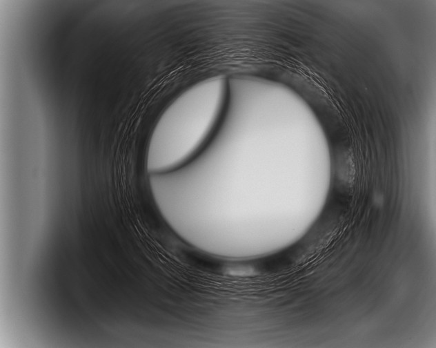 X0000098130226200804171106