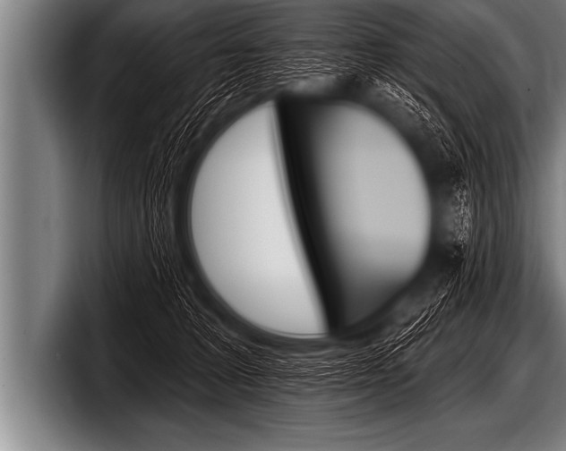 X0000098130227200804171106