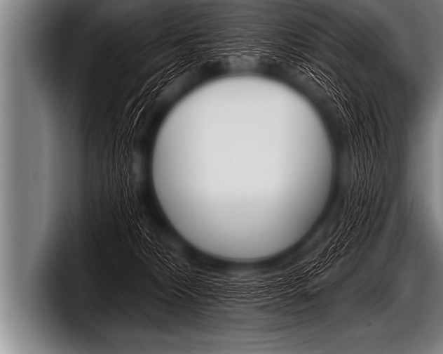 X0000098130228200804171106