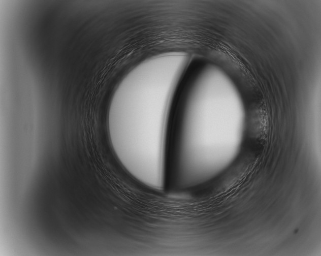 X0000098130229200804171106