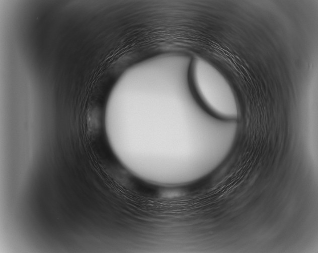X0000098130230200804171105