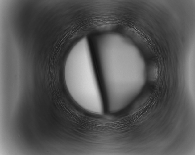 X0000098130231200804171105