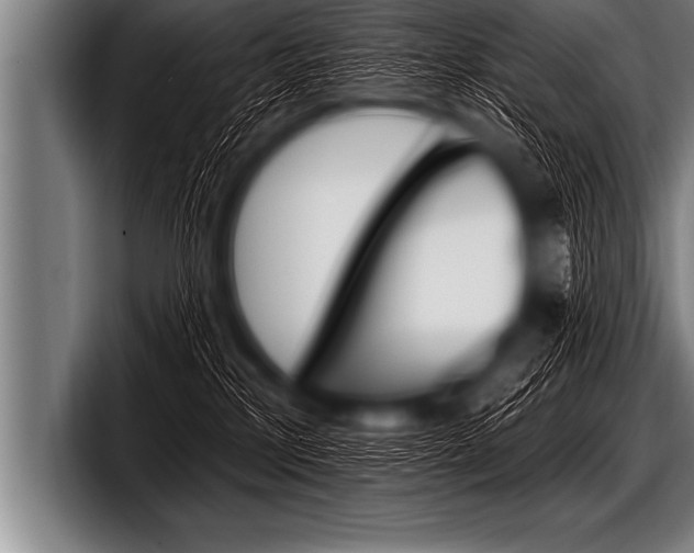 X0000098130233200804171105