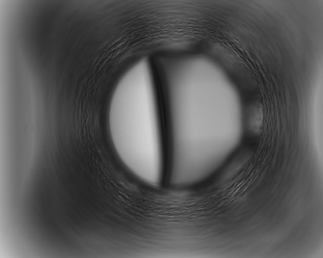 X0000098130235200804171105