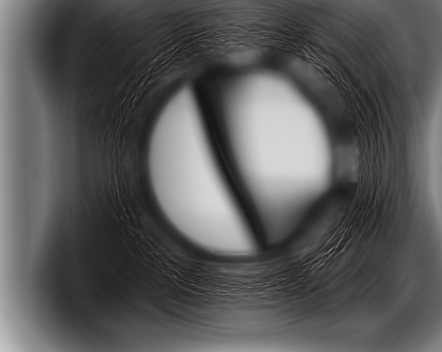X0000098130237200804171105