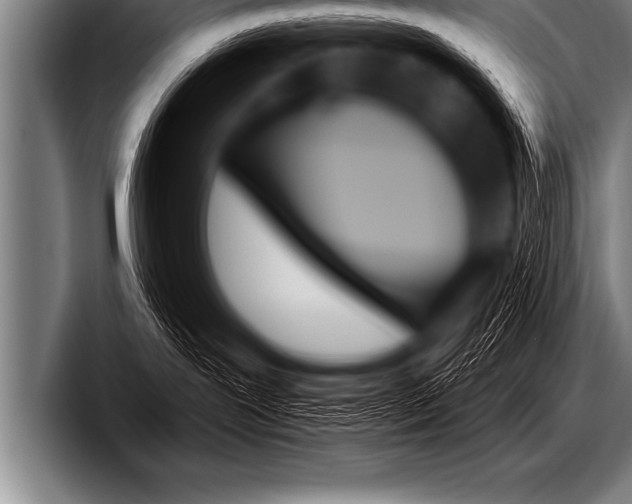 X0000098130239200804171105