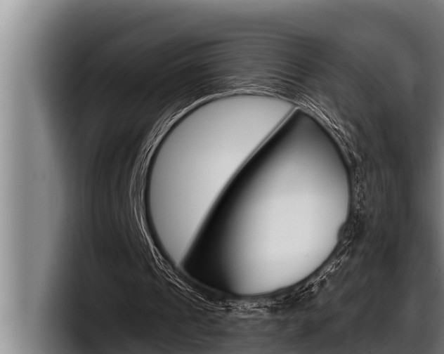 X0000098130241200804171105