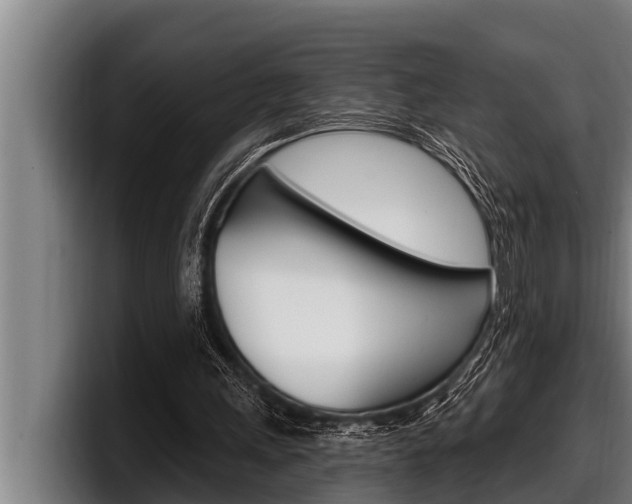 X0000098130243200804171105