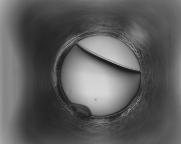 X0000098130245200804171105