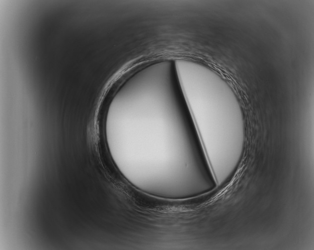 X0000098130246200804171105