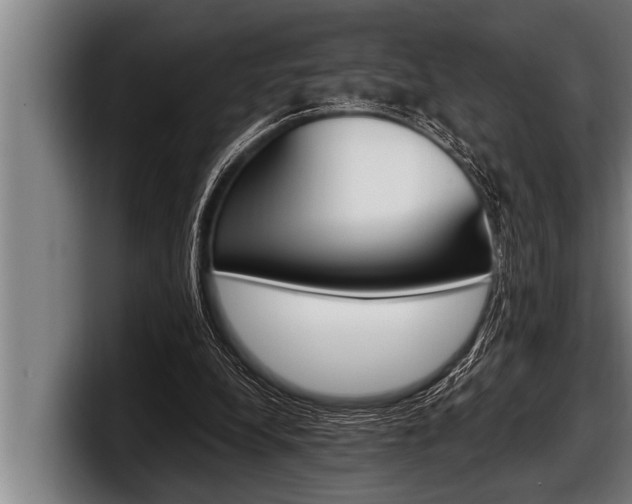 X0000098130248200804171105