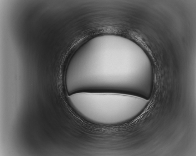 X0000098130249200804171105