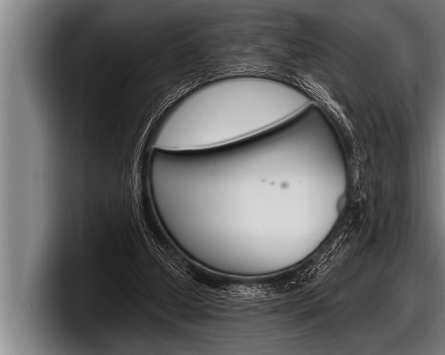 X0000098130250200804171105