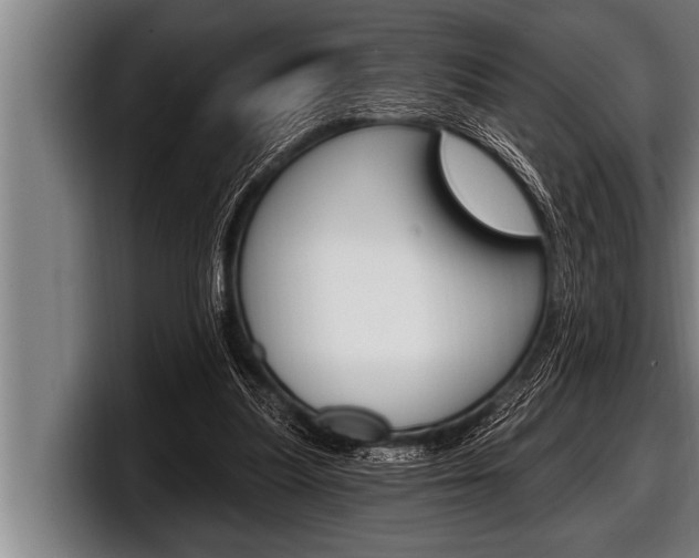 X0000098130251200804171105