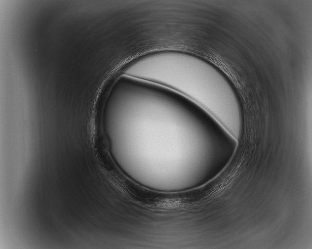 X0000098130252200804171105