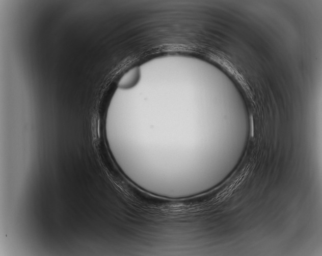 X0000098130253200804171105