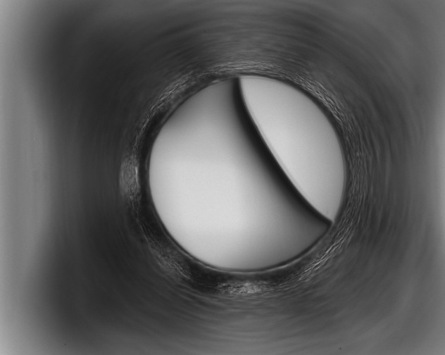 X0000098130254200804171105