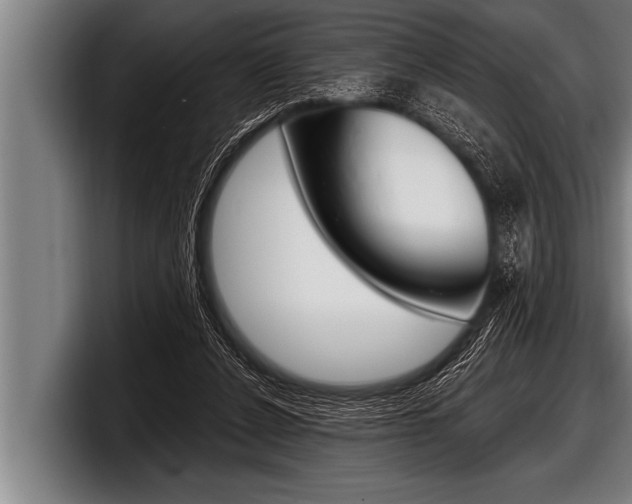 X0000098130256200804171105