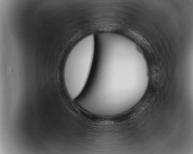 X0000098130258200804171105