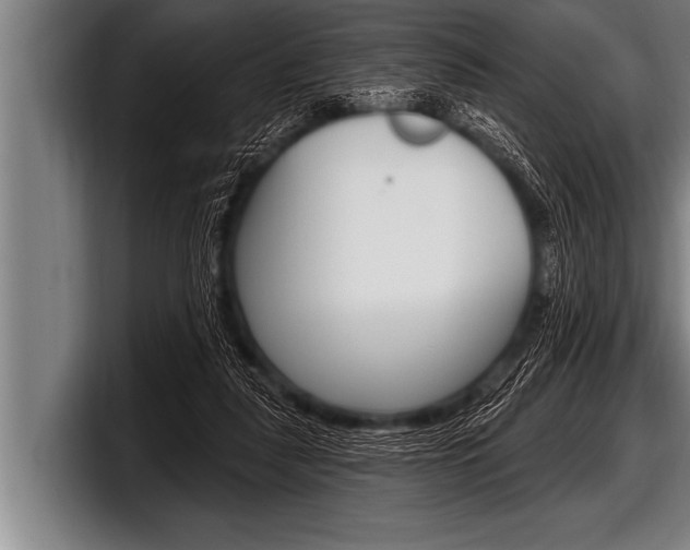 X0000098130259200804171105