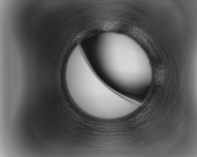 X0000098130260200804171105