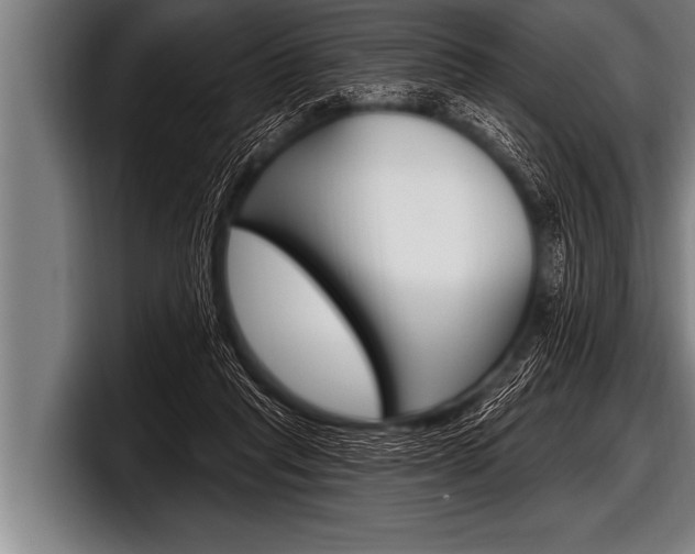 X0000098130261200804171105