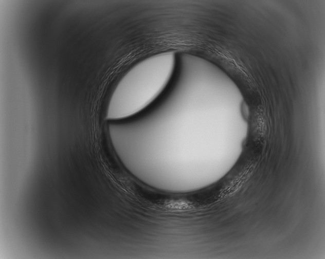 X0000098130262200804171105